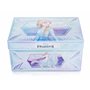 Disney La Reine des Neiges 2 – Coffret Déguisement Elsa Deluxe 17 Pièces Enfant 3 à 6 Ans Taille 4-6X – Robes, Manteau, Figurine
