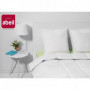 ABEIL Lot de 2 Oreillers Bio Confort - 60 x 60 cm - Blanc 61,99 €