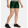 Short de Sport pour Femme Under Armour HG Shorty
