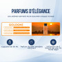 Désodorisant Voiture - Parfum Voiture Interieur Cologne 50 ML - Sens Bon Voiture - Deodorant Voiture Interieur - Diffuseur Voitu