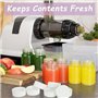 Mini Bouteille 12 Petite Bouteilles en Réutilisables de 100ml avec Bouchon Hermétique, Mini Bouteille en Portable Pour Jus de Fr