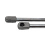 Frankberg 2x Ressorts à Gaz pour Hayon Compatibles avec M-Klasse W164 280 300 320 350 420 450 500 63 AMG SUV 2005-2011 Remplacer
