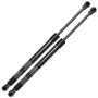 Frankberg 2x Ressorts à Gaz pour Hayon Coffre Compatibles avec 3er E46 318 320 323 325 328 330 Tous Moteurs Coupé Limosine 1998-