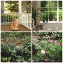 mobumeia Filet Chat Balcon, 3 x 8 m Filet de Protection Chat, Filet Protection Chat, Protection Balcon Chat, pour Sécuriser Les 