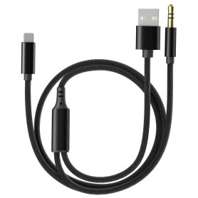 TargetGo [Améliorer] Câble Aux pour iPhone