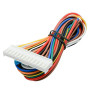 WANGCL Kit de Serrure de Porte Centrale Universelle avec télécommande Style 14 verrouillages sans clé avec boîte de contrôle + 2