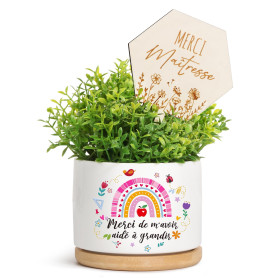 Etiquette Plantes Merci Maitresse en Bois Etiquette de Pot avec Autocollant Merci de m`avoir aidé à Grandir pour Plantes en Pot