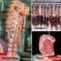 20 Pièces Crochet Boucher, 15cm Crochets en S pour BBQ Crochet Cuisine en Acier Inoxydable pour Suspendre Viande, Poisson, Sauci