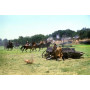 American Outlaws - Jesse James (Uncut Kinofassung/digital ed)