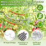 Support pour Branches de Fruits