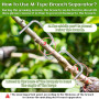 15 Écarteurs de Branches e