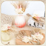Petit Fleur Sechees Decoration