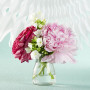 Awtlife 12 Pcs Vintage Verre Favor Jar avec des couvercles de Liège pour Le Mariage Baby Shower faveur