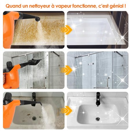 1 Brosse Principale