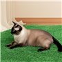 aeathu 10 Pièces Herbe de Mousse Miniature, 15 X 15 cm Tapis de Pelouse Verte Artificielle, Réutilisable Gazon Artificiel Réalis