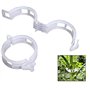 auvstar Plante Clips