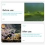 FuxFuis Aimant Aquarium Nettoyage, Nettoyeur Vitre Magnetique Aquarium, Brosse Magnétique Aquarium, Eponge Aquarium Vitre Magnet