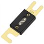 Heschen ANL Lot de 2 fusibles ANL-40 40 A pour système audio de voiture Doré et noir