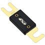 Heschen ANL Lot de 2 fusibles ANL-40 40 A pour système audio de voiture Doré et noir
