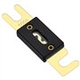 Heschen - Lot de 2 fusibles ANL-100 A - pour système audio de voiture - noir et doré