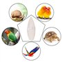 tonyg-p 6 pièces Os de Seiche Jouets à Mâcher Oiseaux Perroquets Jouets à Mâcher avec 3 Pièces Support Métal pour Reptiles Tortu