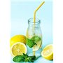 Lawei Lot de 12 Smoothie Bouteille Bouteilles en Verre jus Bouteilles de Lait Liqueur avec 12 pailles réutilisables et 24 couver