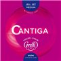 Corelli Cordes Violon Cantiga Jeu avec Mi boucle Medium 900M