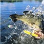Plomb De Peche,80 Pièces Fishing Plomb,Poids De Pêche Plombs,Plomb Peche,2g 3g 4g 5g 8g 10g 15g 20g,Forme De Goutte Pêche Sinker