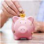 Tirelire Cochon en céramique - Grande Taille - Rose : Piggy Bank - Grand - pour Enfants - Nizirioo
