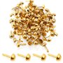 100 Pièces Attaches Parisiennes