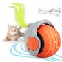 Jouet Interactif pour Chats 2025