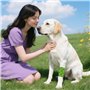 12 Pièces de Bandage autoadhésif, Bande cohesive et Bande Strapping adhésif, Strap Sport pour Chiens, Chevaux et Animaux – Idéal
