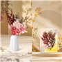 Fleurs séchées Naturelles et pétales séchés – Fleurs séchées colorées pour Loisirs créatifs, idéales pour résine, Bougies, Bijou