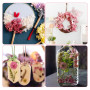 Fleurs séchées Naturelles et pétales séchés – Fleurs séchées colorées pour Loisirs créatifs, idéales pour résine, Bougies, Bijou