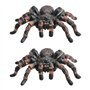 CHROMACRAFT 2 Jouets D'Araignée Simulés