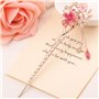 Accessoires Pour L