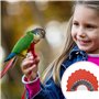 Outils De Ventriloque