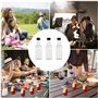 MytaYt Lot de 24 Mini Bouteilles Plastiques 50ml Réutilisables avec 2 Entonnoirs et 24 Étiquettes pour Mariages et Fêtes