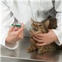 Seringue pour Chien Seringue Poussoir de Pilule Outil d'alimentation pour Animaux Soins Infirmiers