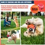 AMA SPORT - AD-Dog-Orange - Balles de Tennis pour Chiens (6,35 cm) -Taille M - Orange - Lot de 12 - Rebond Adapté - Haute Visibi