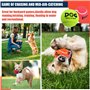 AMA SPORT INSUM -D606 - Balles de Tennis pour Chiens (6,35 cm) - Taille M - Multicolore - Lot de 12 - Rebond Adapté - Haute Visi