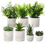 7 Pièces Plantes Artificielles