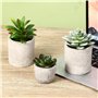 7 Pièces Plantes Artificielles,Mini Plantes Artificielles,Plantes artificielles pour la décoration du Salon, de la Chambre, du B