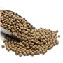 Wolike Balles de lance-pierre de 10 mm 1000 g en argile dure