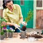 Pots en Plastique Épais avec Trous de Drainage et Soucoupe