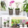VireEyU Pack de 10 Pots de Culture, Pots en Plastique Épais avec Trous de Drainage et Soucoupe, Parfaits pour les Semis et les P