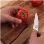 KOTAI | Couteau d’Office | Couteau à Fruits | Lame de 9 cm | Martelé et Aiguisé à la Main | Manche en Pakkawood | Acier Inoxydab