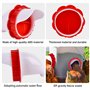 DIY Mangeoire À Volaille Gravité Kit