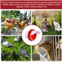 BYZESTY Mangeoire Poules 6 Ports, 6 Pièces Mangeoire Poules, DIY Mangeoire À Volaille Gravité Kit, Mangeoire Poule Automatique, 