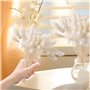 180 Pcs Getrocknetes Pampasgras 43cm